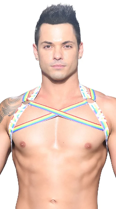 Men's Pride Stripe Harness